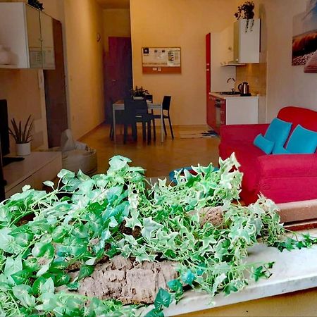 Brisa Marina Apartment Alghero Exteriér fotografie